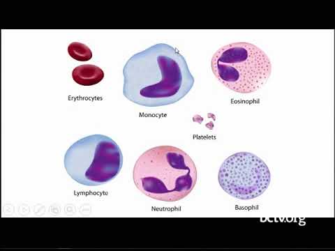 Leukemia, Lymphoma, Myeloma and other blood cancers 10-24-17
