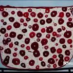 Painter Lisa Eshleman Foster 11-22-17