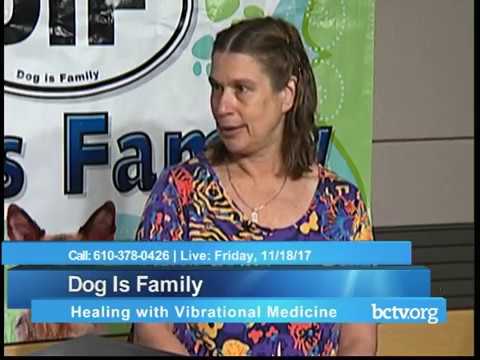 Newfoundland breed; vibrational medicine 11-17-17