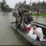 Animal welfare news of 2017 including rescues and funny videos 12-27-17