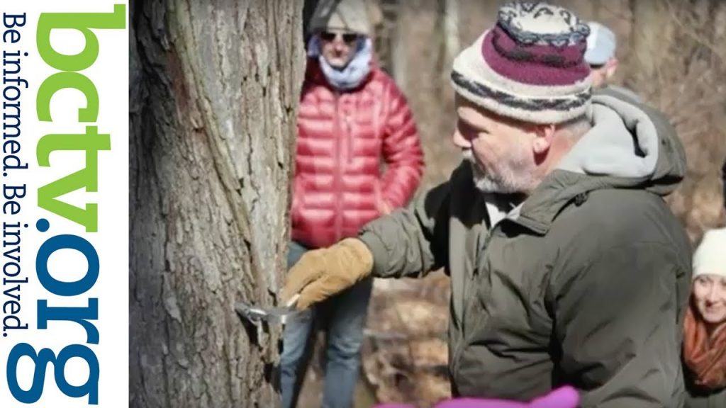 From Tree to Table: All About Maple Sugaring 2-20-18