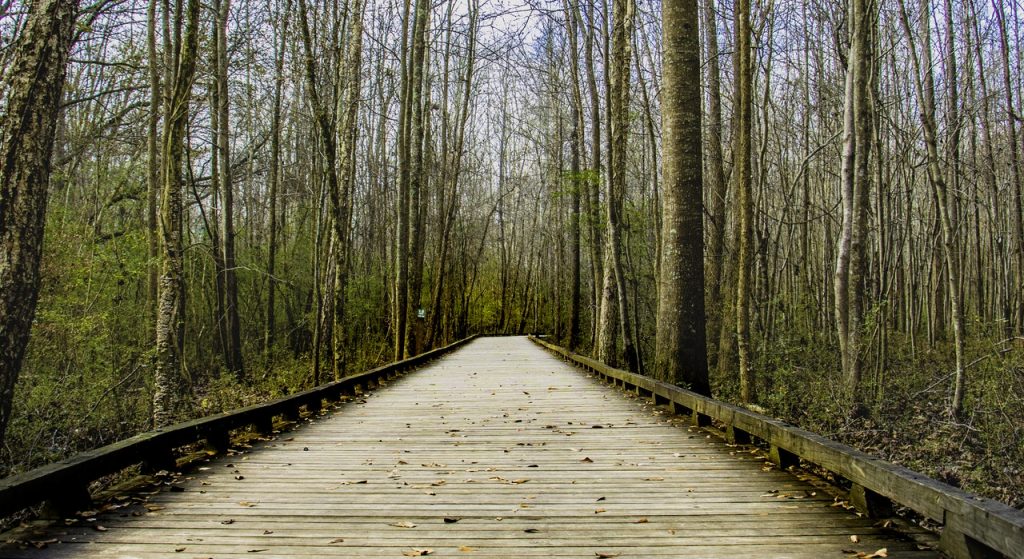 Statewide ‘Walk with a Doc’ Campaign Promotes Health and Nature