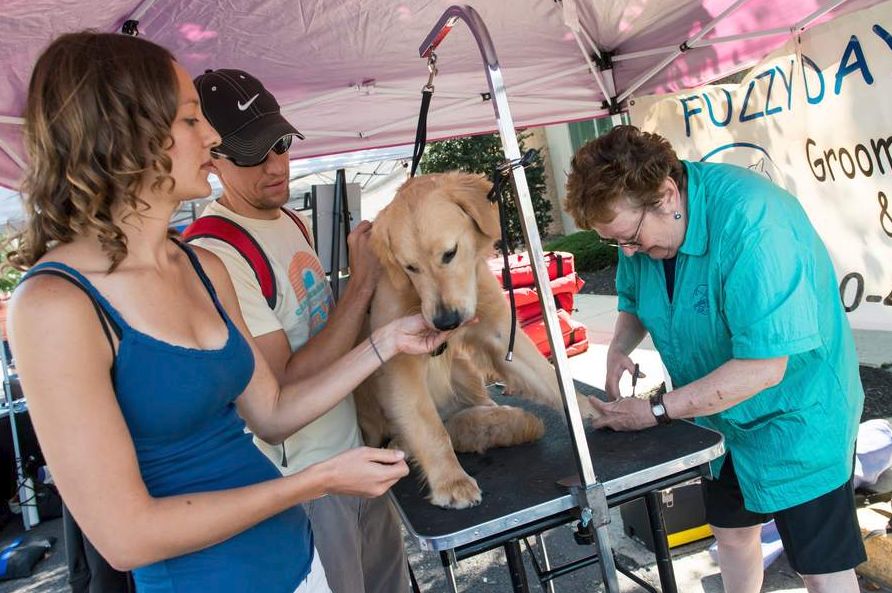 Building a Better Boyertown Presents Dog Days of August