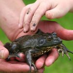 Nolde Forest Environmental Education Center announces Community Programs for May 2017