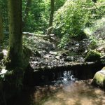 Free Sunscreen at State Parks Throughout Pennsylvania