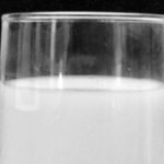 Schwank Milk Labeling Bill Passes Senate