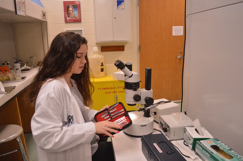 Conrad Weiser Science Research Institute to expand programs