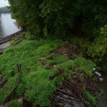 Douglassville Bridge Log Jam Clearing; Trail closure, paddler warning and volunteer request
