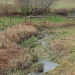 Penn State Extension Launching Master Watershed Steward program