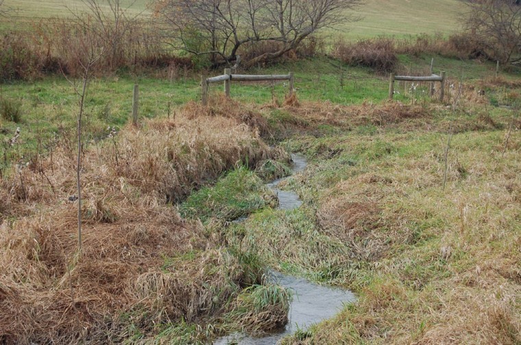 Penn State Extension Launching Master Watershed Steward program
