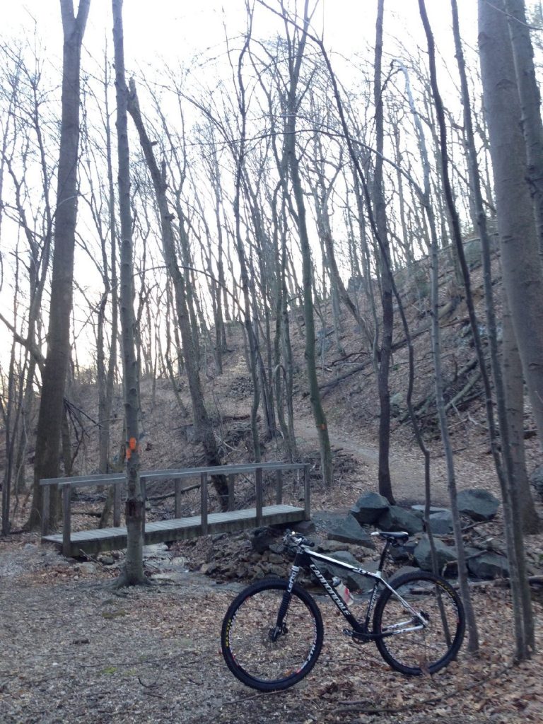 Bridge Replacement to Make Neversink Mountain Trail Accessible to Hand Cyclists, Others