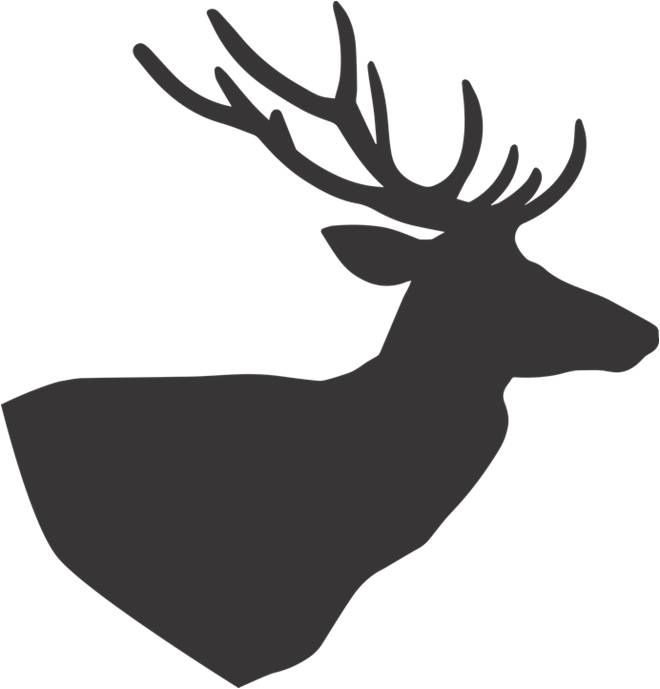 Repeal the Ban on Sunday Hunting