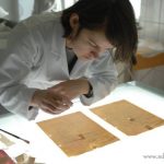 Students to Travel to Poland to Help Preserve Auschwitz