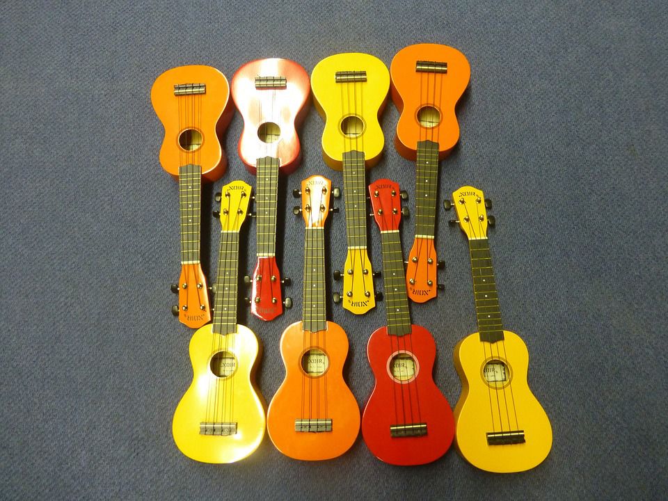 Exeter Elementary School To Receive 40 Ukuleles Courtesy of New Program