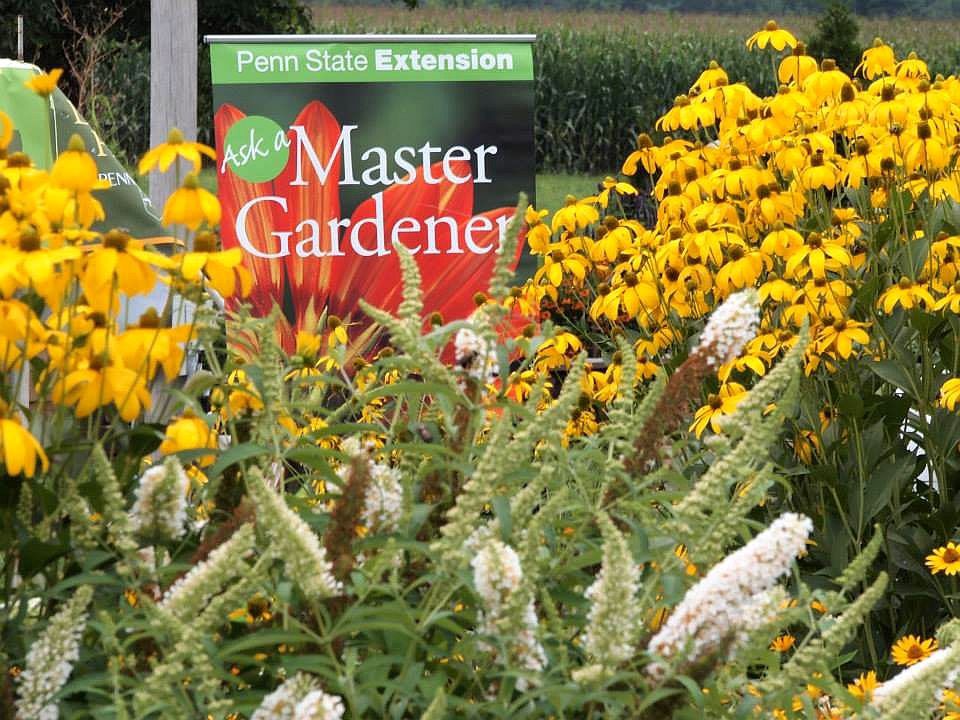 Penn State Extension Honors Master Gardener Volunteers