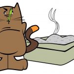 Litter Box Avoidance in Cats