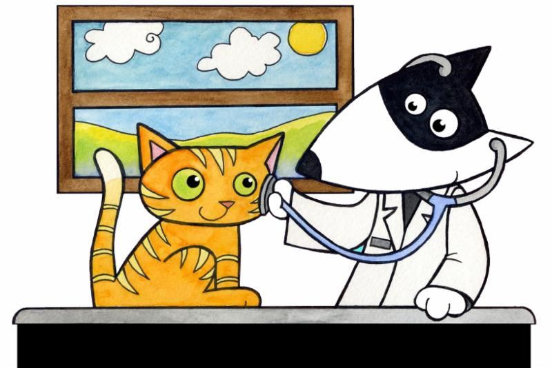 Pet Nutrition: Myth vs. Fact