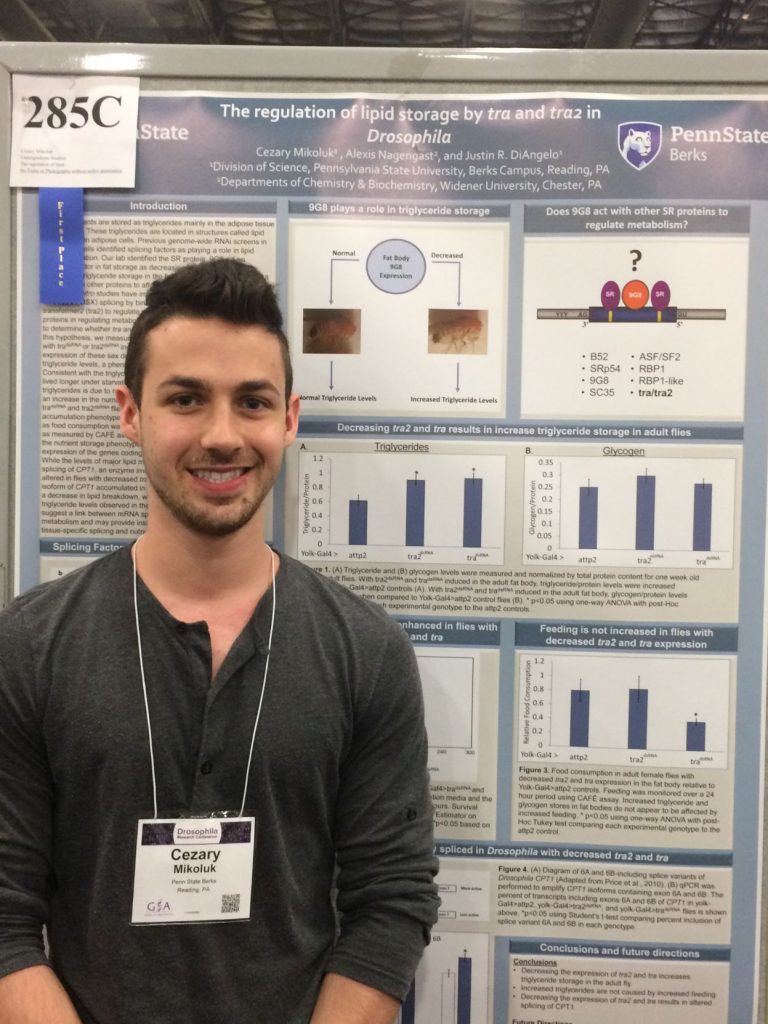 Berks student takes first place poster award at Drosophila Research Conference