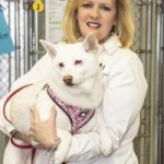 The Animal Rescue League of Berks County is proud to be an Open Admission Shelter