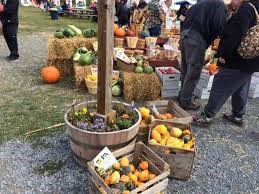 Getting ‘Autumn Ready’ With Pick Your Own Orchards