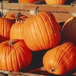 Halloween Activities at Hopewell Furnace National Historic Site