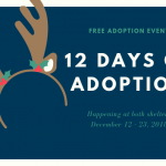 12 Days of Adoption: Fee Free Adoption Event