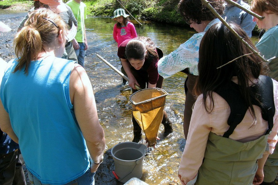 PSU Extension Recruiting Residents for Master Watershed Steward Training