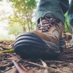 Hit The Trails This Spring With Ranger-Led Programs in Berks Parks