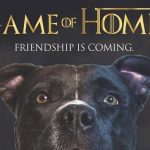 Game Of Homes: Fee Waived Adoption Event