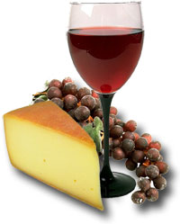 Wine & Cheese Pairing Weekends