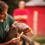 Animal Adventures with Ed Laquidara comes to Berks