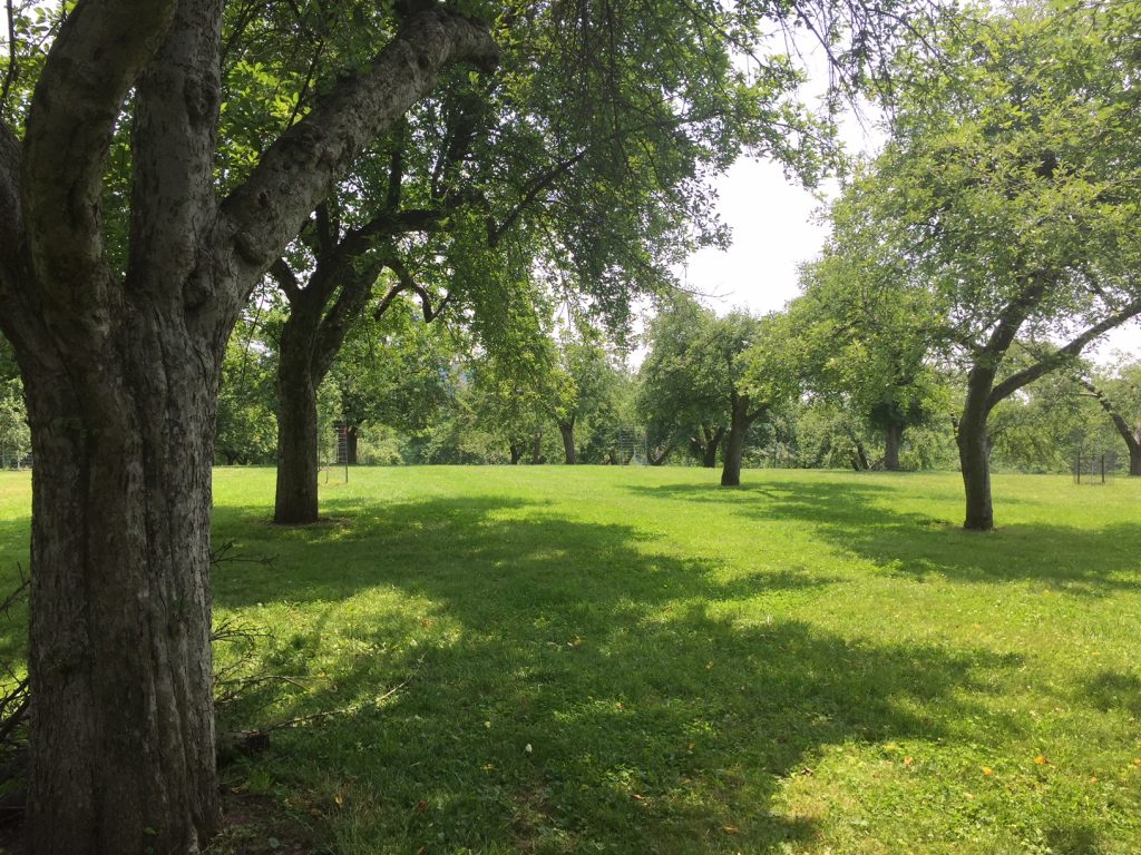 It’s Apple Season at Hopewell Furnace, Apple Sales Begin Labor Day Weekend