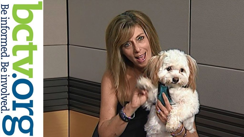 Rudi, the Calendar Pooch 8-23-19