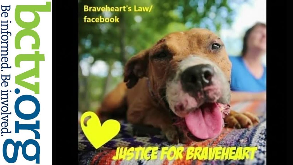Braveheart’s Law and Desmond’s Law  10-31-19