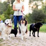 Spending on Pet Care Services  Doubled in Last Decade