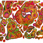 New Arts Program to present Liz Whitney Quisgard’s “Fiber Works”