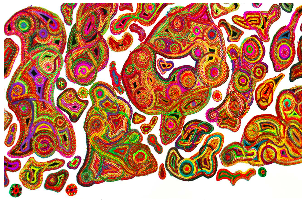 New Arts Program to present Liz Whitney Quisgard’s “Fiber Works”