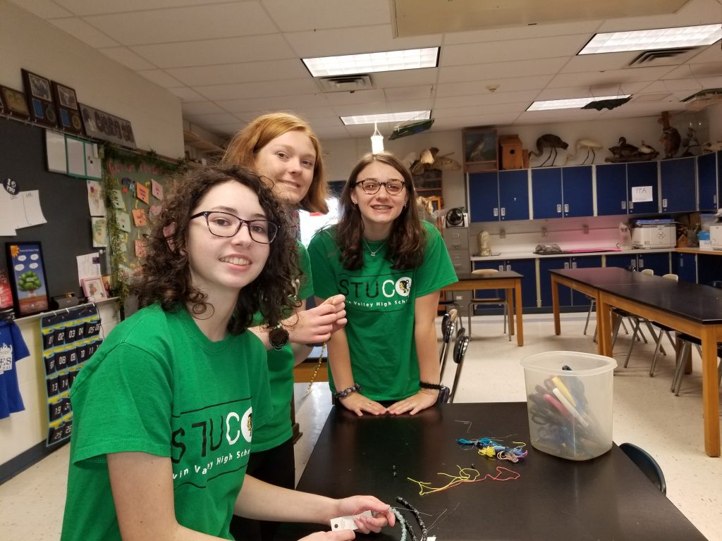 Twin Valley High School using Flex Periods to complete Community Service