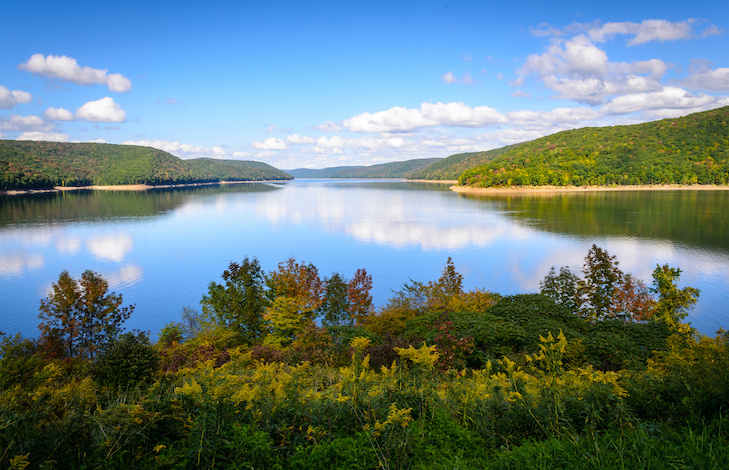 Conservationists: Proposed NEPA Changes Threaten PA Forests