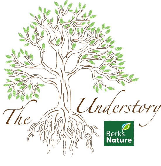 Earth Day Reflections, Land Indicator: Protected Land