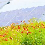 Pollinator Solar Array Provides Dual Benefits