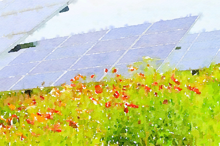 Pollinator Solar Array Provides Dual Benefits