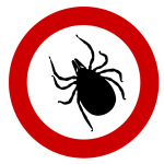 DOH Warns PA about Ticks, Symptoms of Lyme Disease Similar to COVID-19