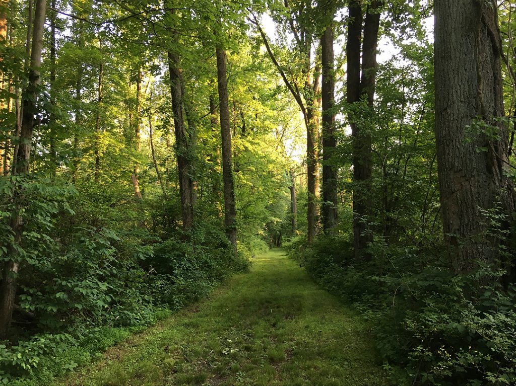 Berks Trail Challenge 2021 Kicks Off