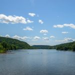 Removing Dams Brings More Shad to the Delaware