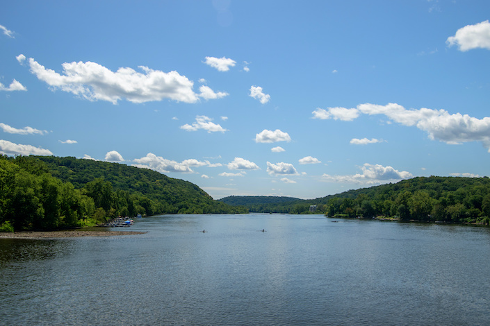 Removing Dams Brings More Shad to the Delaware