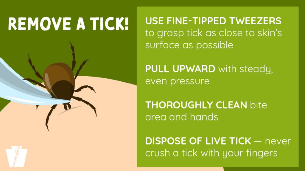 Protect Against Tickborne, Other Vectorborne Illnesses When Venturing Outdoors