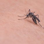 City of Reading Adult Mosquito Control Event 8/11