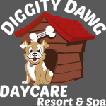 Diggity Dawg Daycare offers safe, healthy care and services for dogs