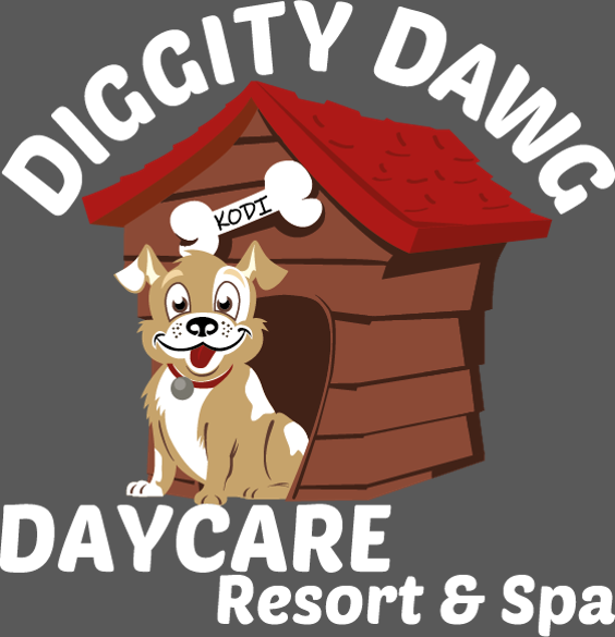 Diggity Dawg Daycare offers safe, healthy care and services for dogs